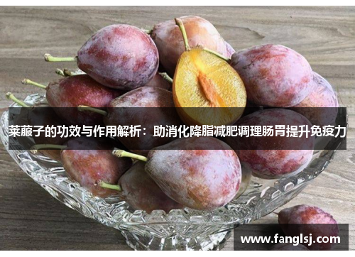 莱菔子的功效与作用解析：助消化降脂减肥调理肠胃提升免疫力