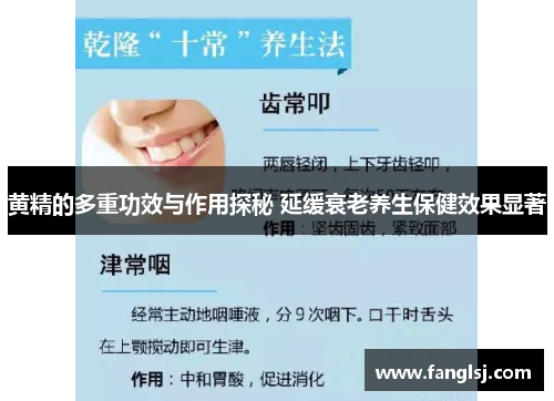 黄精的多重功效与作用探秘 延缓衰老养生保健效果显著