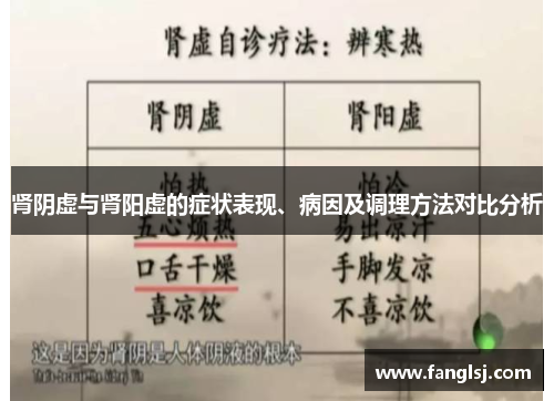 肾阴虚与肾阳虚的症状表现、病因及调理方法对比分析