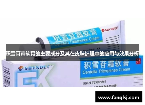 积雪苷霜软膏的主要成分及其在皮肤护理中的应用与效果分析